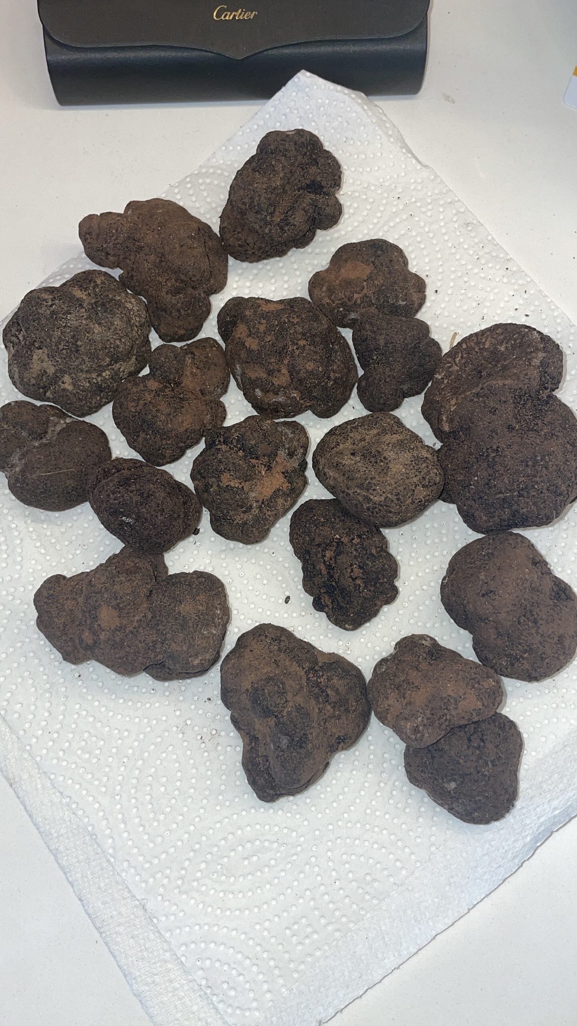 Black Winter Truffle (Tuber Melanosporum)