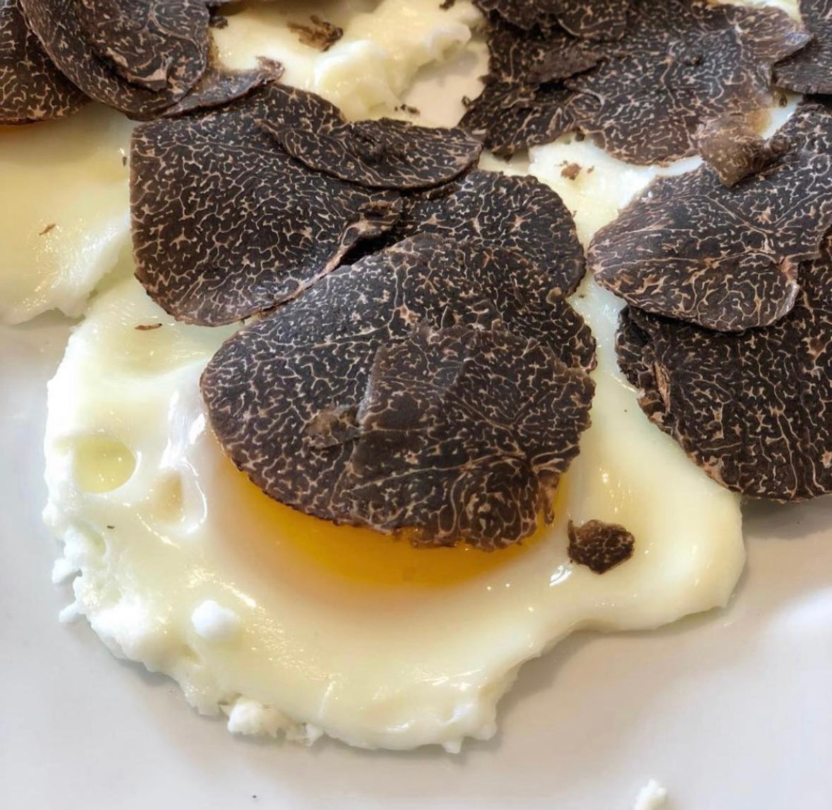 Black Winter Truffle (Tuber Melanosporum)