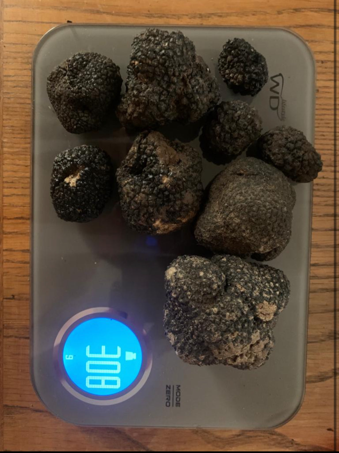 Black Winter Truffle (Tuber Melanosporum)