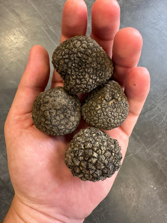 Fresh Black Summer Truffle - Italian origin, Wildcrafted