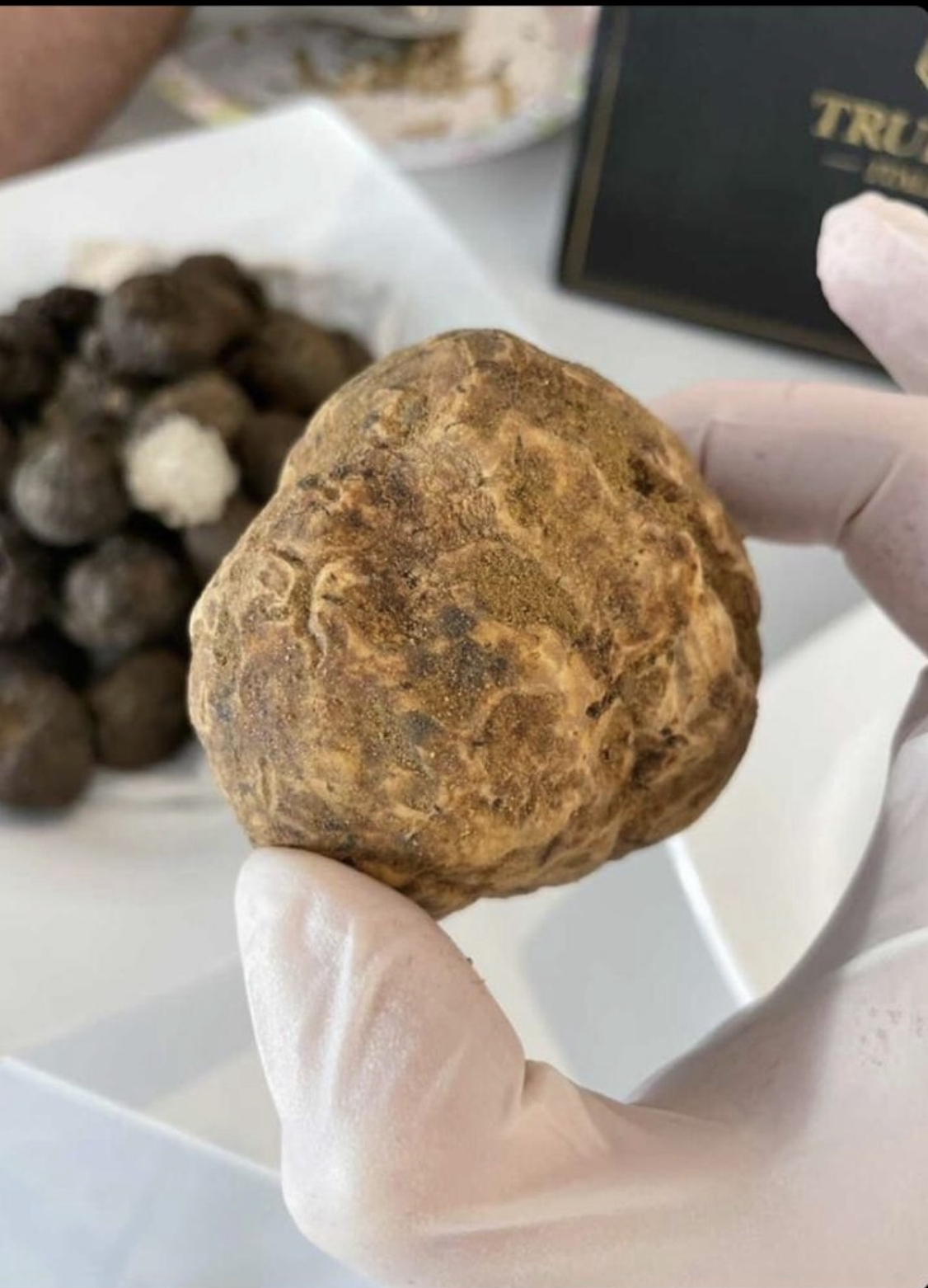 Fresh Alba White Truffles! LIMITED SUPPLY!