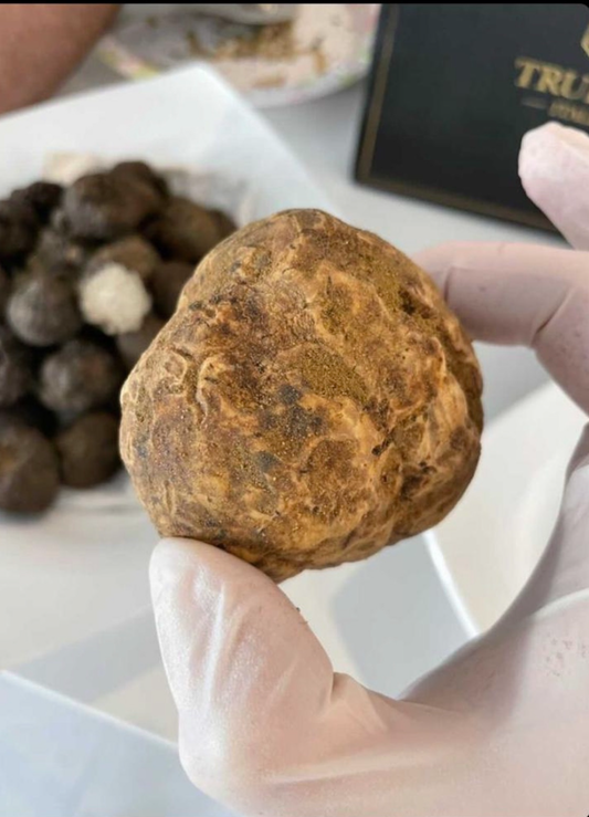 Fresh Alba White Truffles! LIMITED SUPPLY!